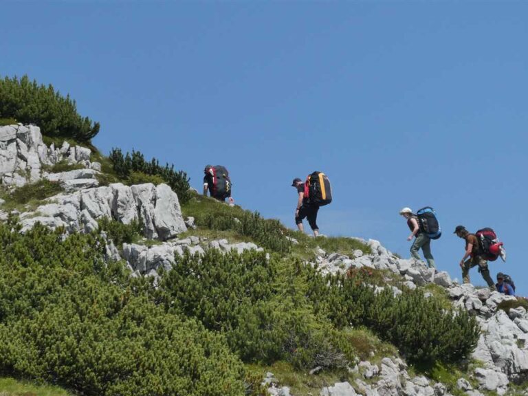 visit Shimla Manali from Hyderabad