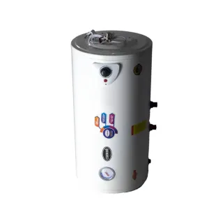 Instant Geyser