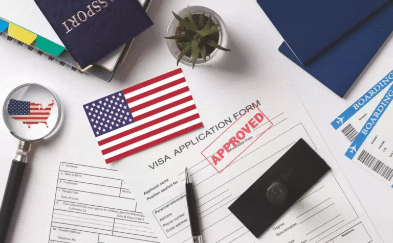 Visa Compass Experts