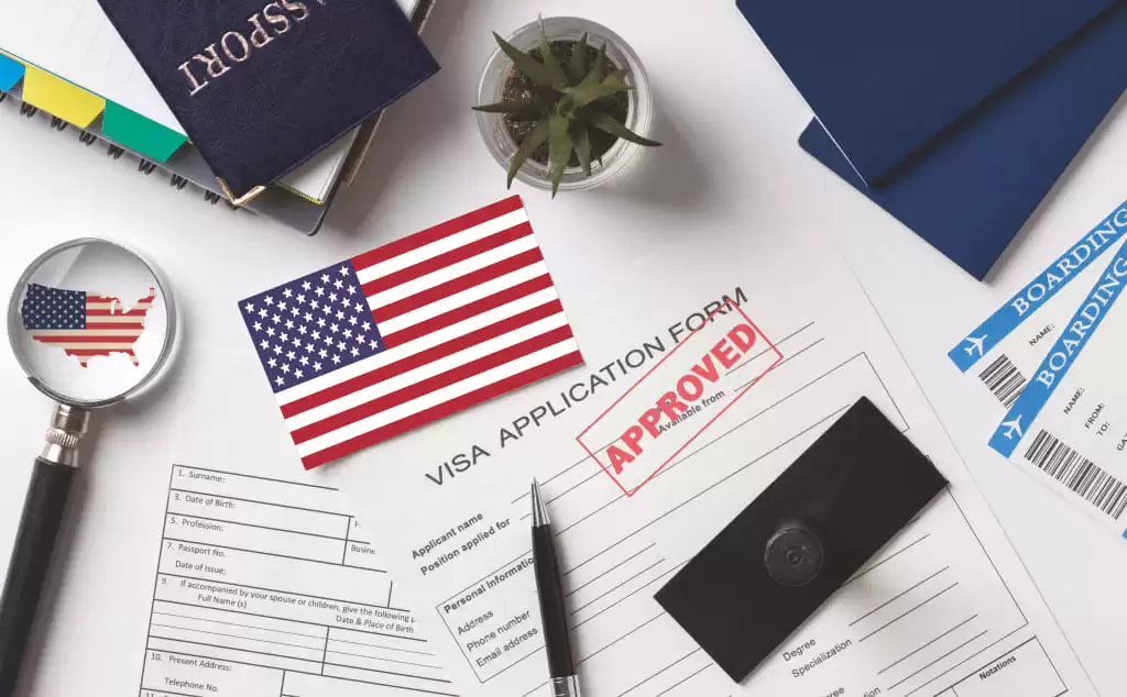 Visa Compass Experts